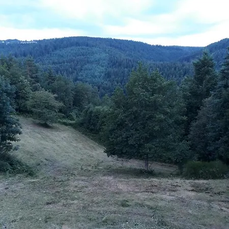 Cabane *